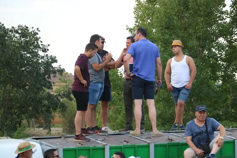 Desenjaule de los novillos que se lidiarán en los festejos de Aldeadávila de la Ribera / FOTOS: CORRAL Y SAIRA ANDRÉS