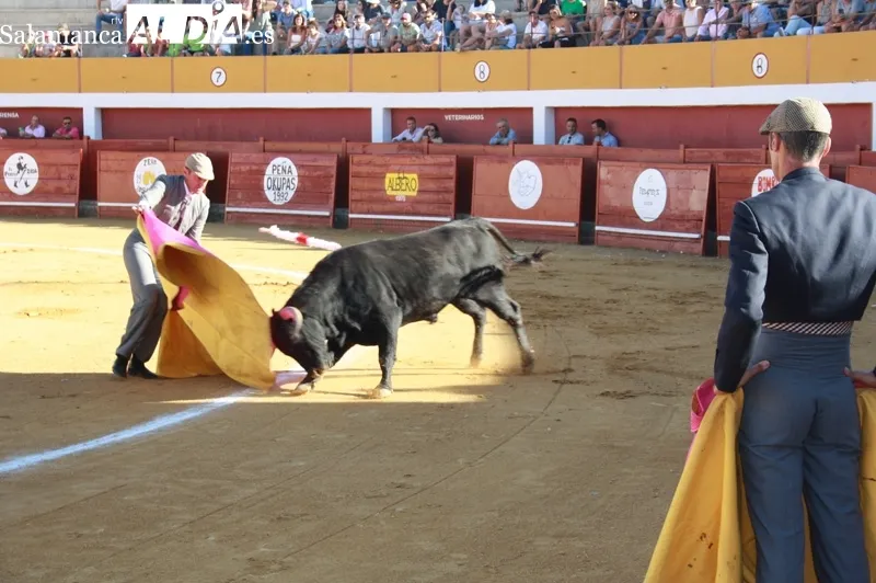 La plaza de toros de Macotera celebraba este viernes un Festival taurino sin picadores
