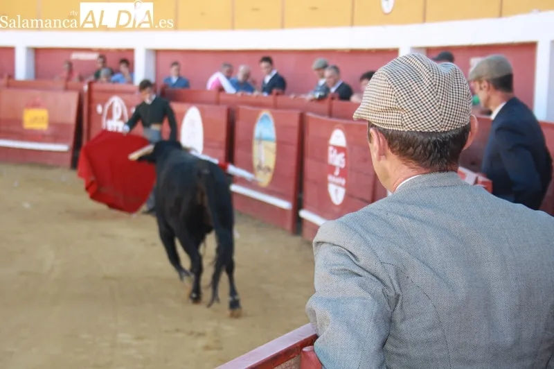 La plaza de toros de Macotera celebraba este viernes un Festival taurino sin picadores