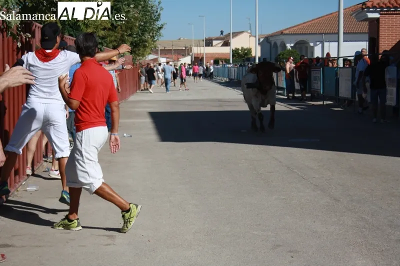 Macotera ha vivido su tradicional encierro a caballo