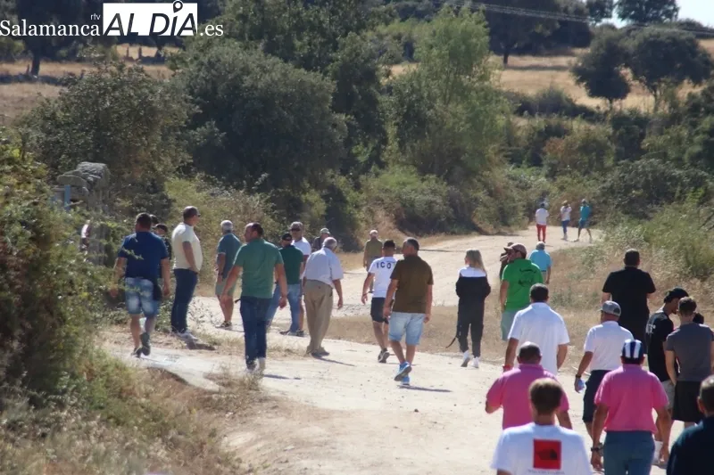 Bonito y veloz encierro a caballo en Villavieja de Yeltes / CORRAL Y MARIBEL SÁNCHEZ