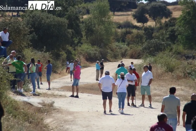 Bonito y veloz encierro a caballo en Villavieja de Yeltes / CORRAL Y MARIBEL SÁNCHEZ