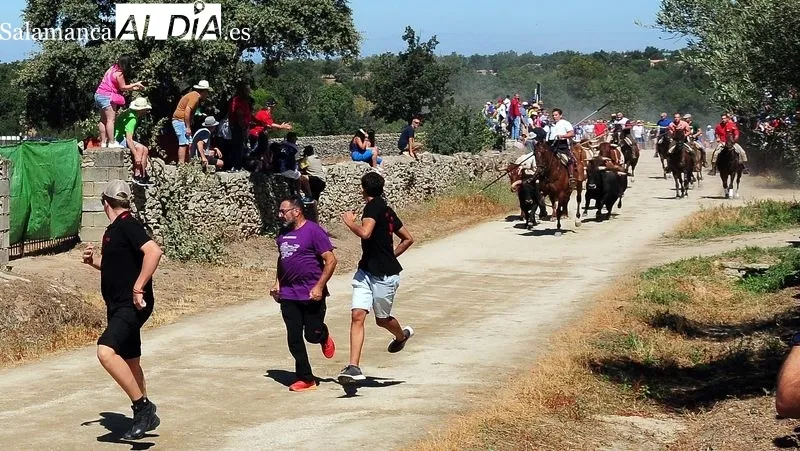Foto 11 - Numeroso p&uacute;blico disfruta de un bonito primer encierro a caballo de las fiestas de Lumbrales