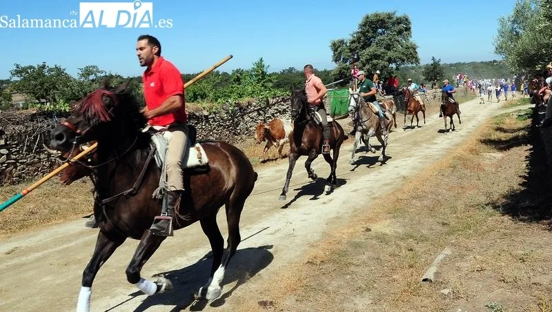 Foto 6 - Numeroso p&uacute;blico disfruta de un bonito primer encierro a caballo de las fiestas de Lumbrales