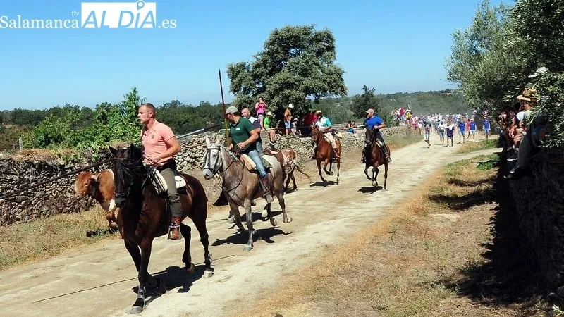 Foto 5 - Numeroso p&uacute;blico disfruta de un bonito primer encierro a caballo de las fiestas de Lumbrales