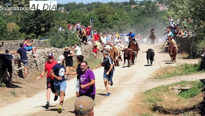 Foto 5 - Entretenido y emocionante segundo encierro a caballo en las fiestas de Lumbrales