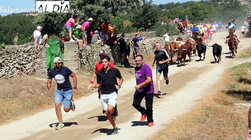 Foto 4 - Entretenido y emocionante segundo encierro a caballo en las fiestas de Lumbrales