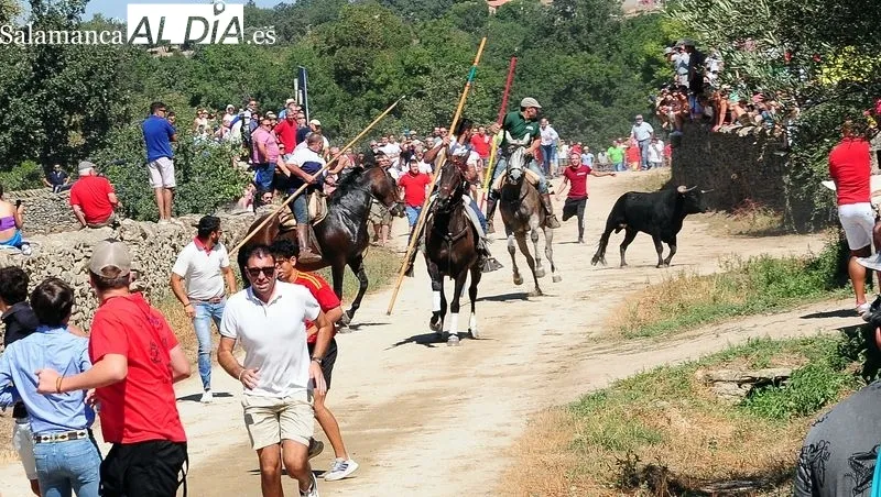 Foto 2 - Entretenido y emocionante segundo encierro a caballo en las fiestas de Lumbrales