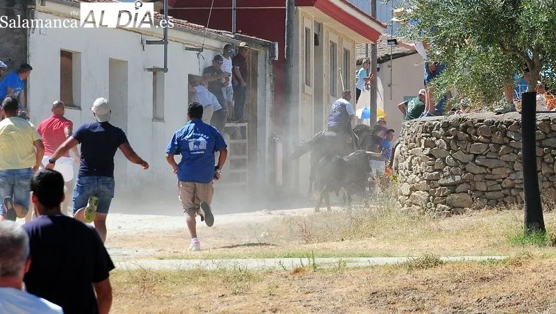 Foto 11 - Entretenido y emocionante segundo encierro a caballo en las fiestas de Lumbrales
