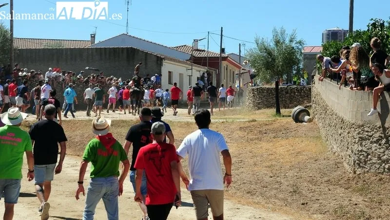 Foto 10 - Entretenido y emocionante segundo encierro a caballo en las fiestas de Lumbrales
