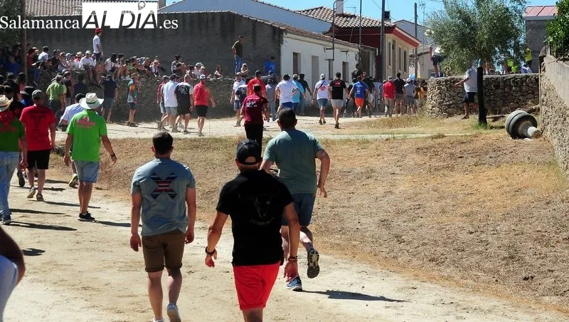 Foto 9 - Entretenido y emocionante segundo encierro a caballo en las fiestas de Lumbrales