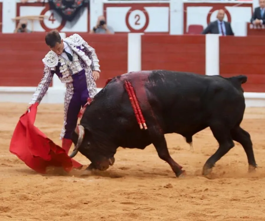 El Juli en su faena a 'Caritativo' en Gijón | Foto: Circuitos Taurinos