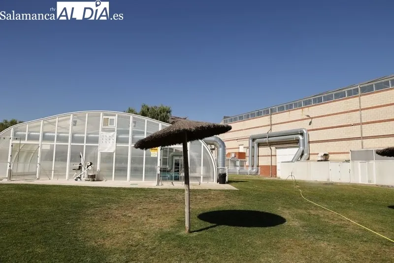 La concejala de Fomento, Marta Labrador, informaba esta mañana sobre la licitación las obras de remodelación integral de la piscina de Santa Marta de Tormes. Foto de David Sañudo