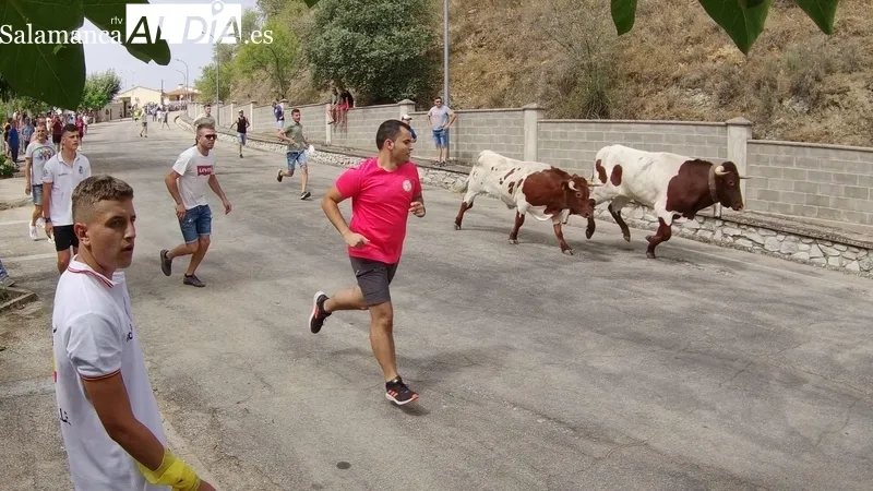 Primer encierro de las fiestas de Saucelle con bonitos novillos de Charro del Llen / CORRAL