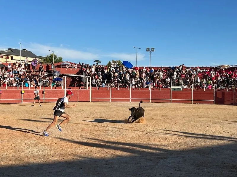 Foto 6 - Carbajosa disfruta de lleno de sus fiestas