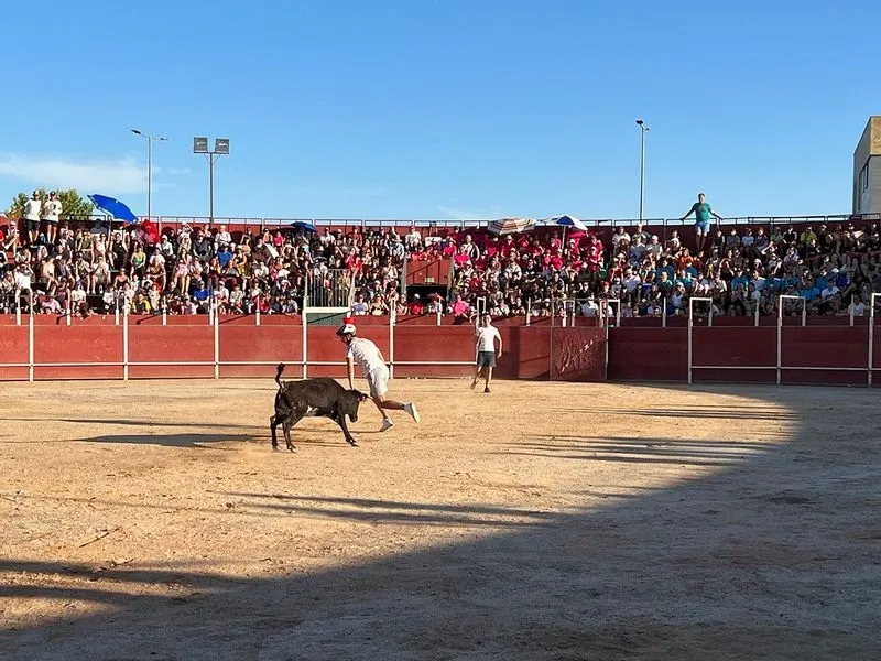 Foto 5 - Carbajosa disfruta de lleno de sus fiestas