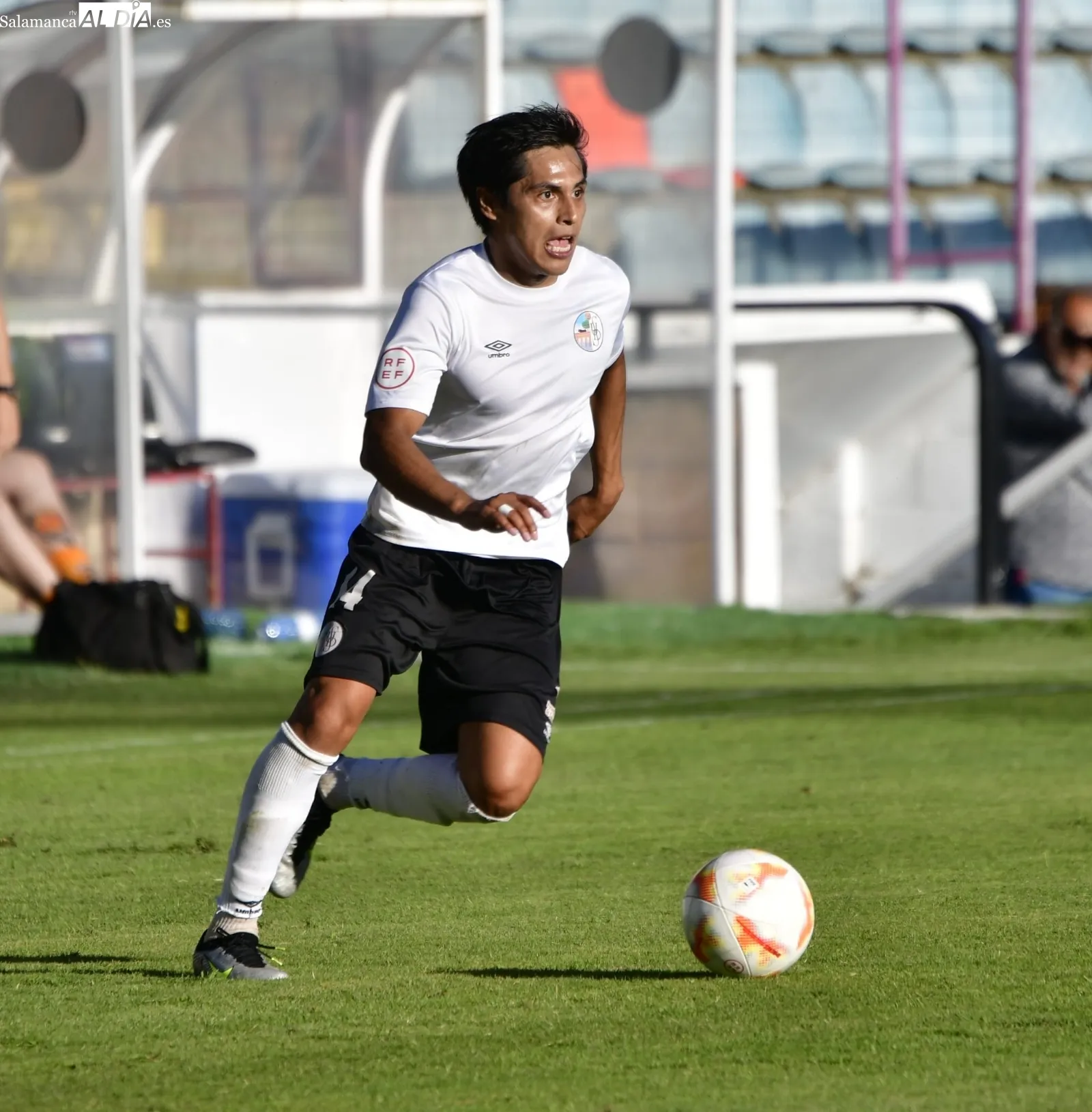 Galería de imágenes del Helmántico / Fotos: SALAMANCArtv AL DÍA
