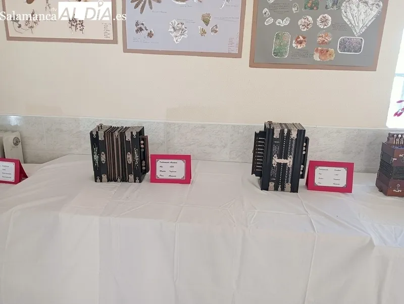 Interesante exposición de acordeones en Sobradillo 