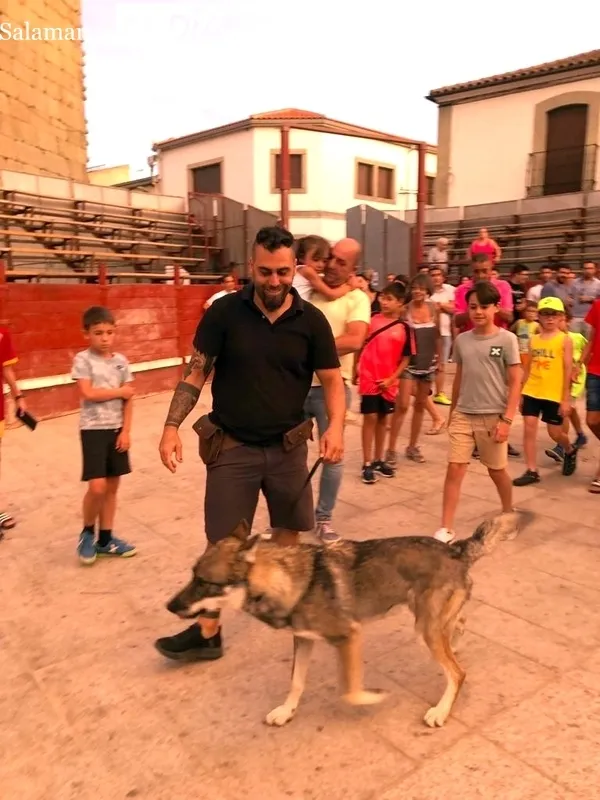 El público pudo interactuar con distintas especies de animales como serpientes, una tortuga gigante, aves y un perro lobo canadiense 