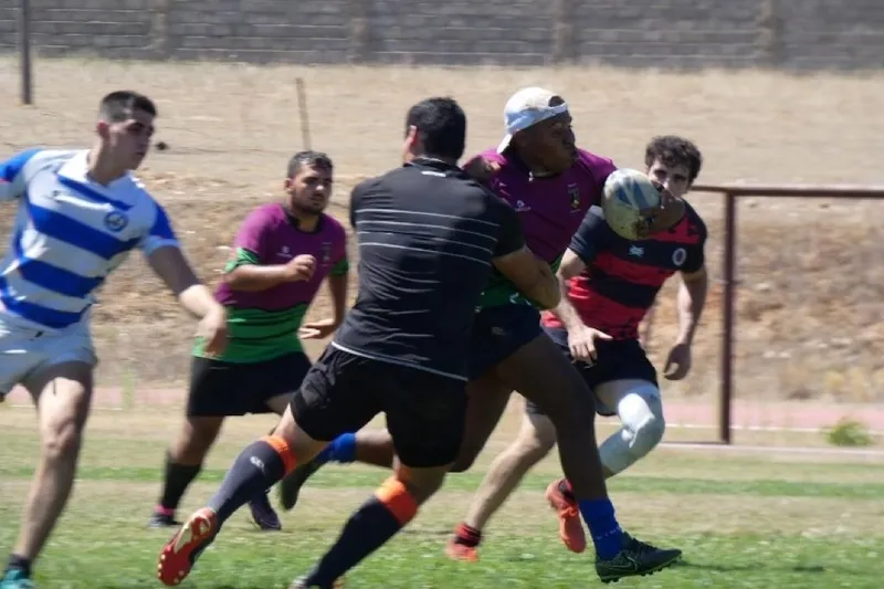 Foto 2 - El Globo Gym Purple Cobras se hace con el II Torneo de Rugby Seven de Vitigudino 
