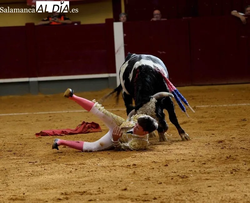 Foto 11 - Crist&oacute;bal Arenas conquista el Bols&iacute;n Taurino Botijo de Filigrana