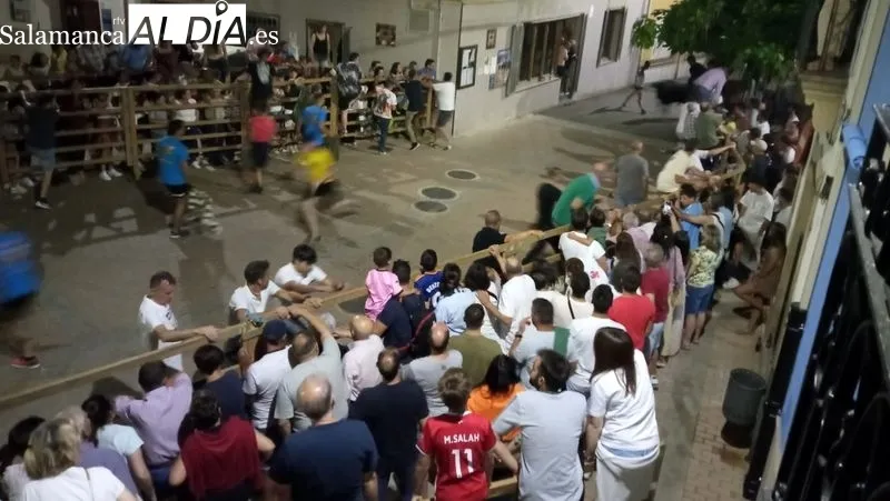 Los aficionados corrieron delante de los astados en la calle y el la plaza de toros