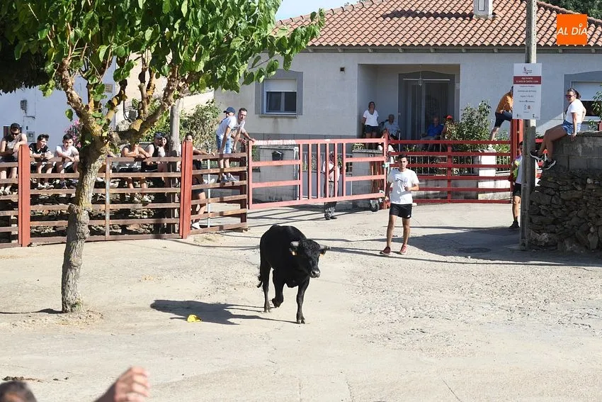 Foto 3 - Buen ambiente en la jornada taurina de las fiestas de Villar de la Yegua