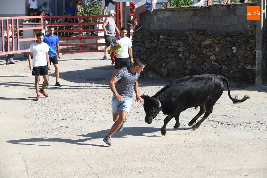 Foto 4 - Buen ambiente en la jornada taurina de las fiestas de Villar de la Yegua
