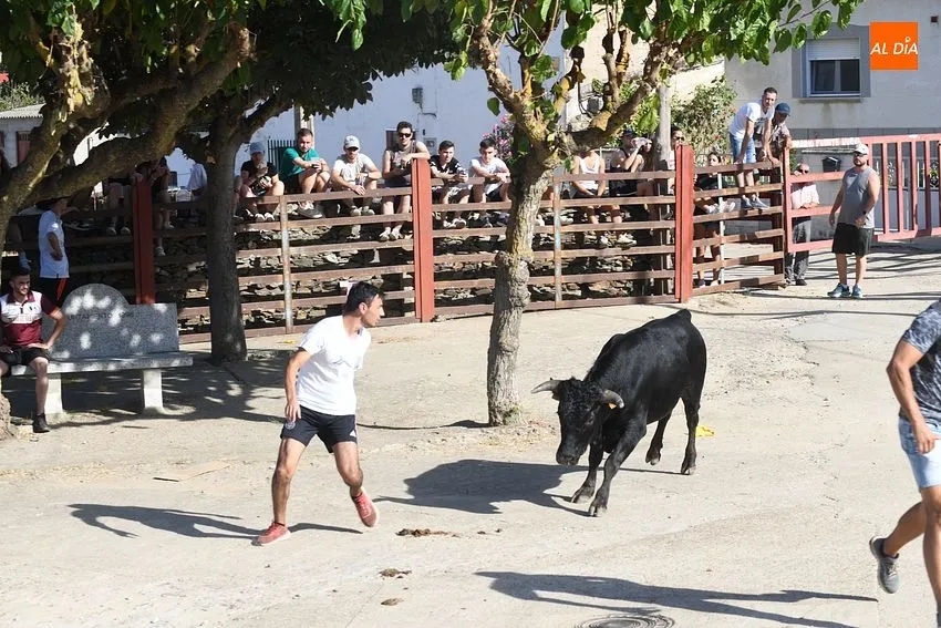 Foto 5 - Buen ambiente en la jornada taurina de las fiestas de Villar de la Yegua