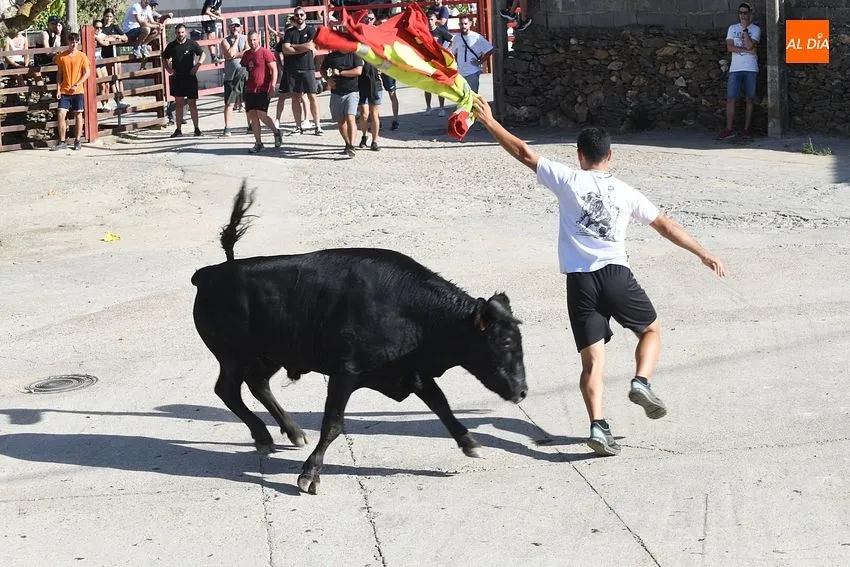 Foto 6 - Buen ambiente en la jornada taurina de las fiestas de Villar de la Yegua