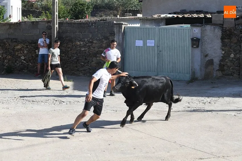 Foto 7 - Buen ambiente en la jornada taurina de las fiestas de Villar de la Yegua