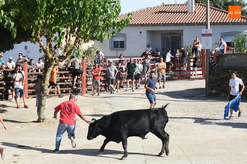 Foto 10 - Buen ambiente en la jornada taurina de las fiestas de Villar de la Yegua