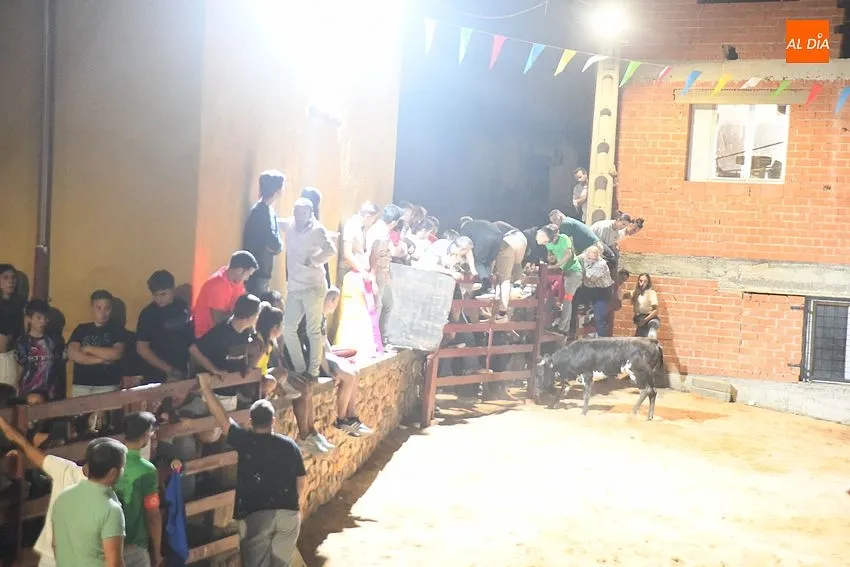vaquillas noche serradilla del llano