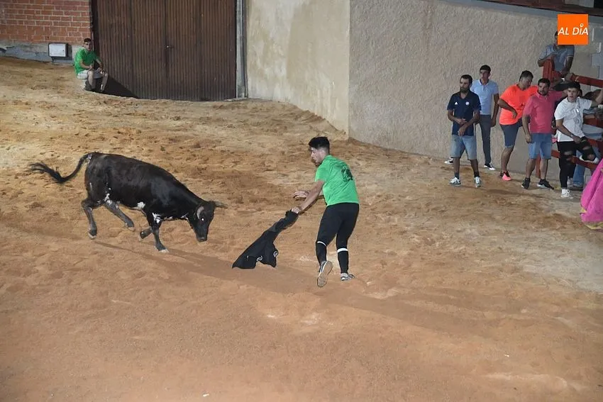 vaquillas noche serradilla del llano