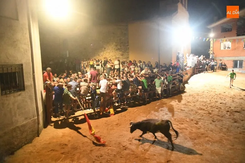 vaquillas noche serradilla del llano