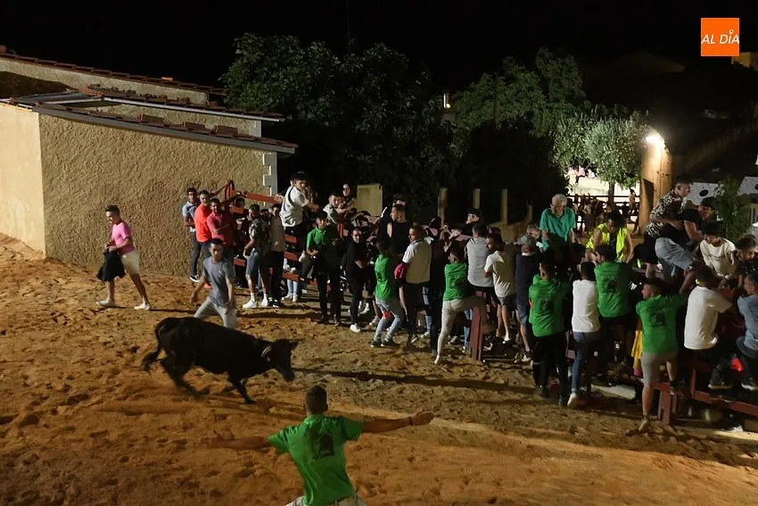 vaquillas noche serradilla del llano
