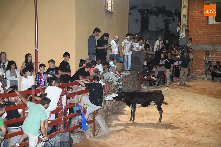 vaquillas noche serradilla del llano