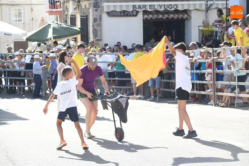 vaquillas agallas