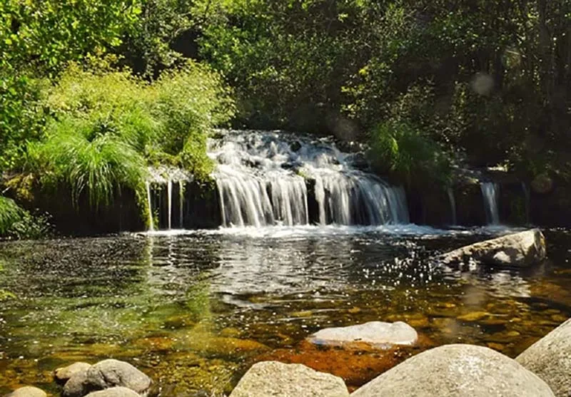 Foto 2 - Tres "oasis" de la naturaleza donde combatir el calor de la comarca bejarana