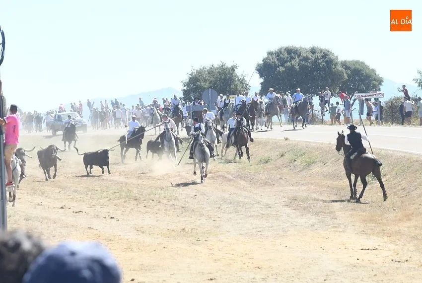 Foto 11 - Multitudinaria asistencia a un encierro dominical que alargaron los recortadores