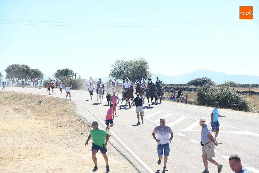 Foto 6 - Multitudinaria asistencia a un encierro dominical que alargaron los recortadores
