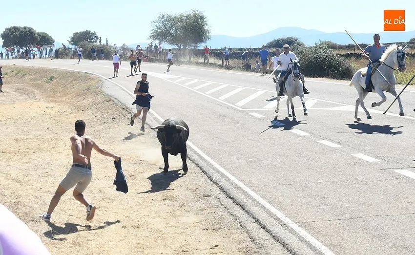 Foto 10 - Multitudinaria asistencia a un encierro dominical que alargaron los recortadores