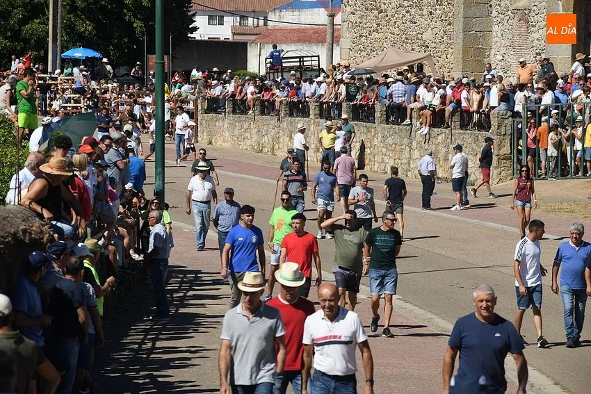 Foto 4 - El concurrido segundo encierro de Fuenteguinaldo entra con retraso y un poco m&aacute;s roto 