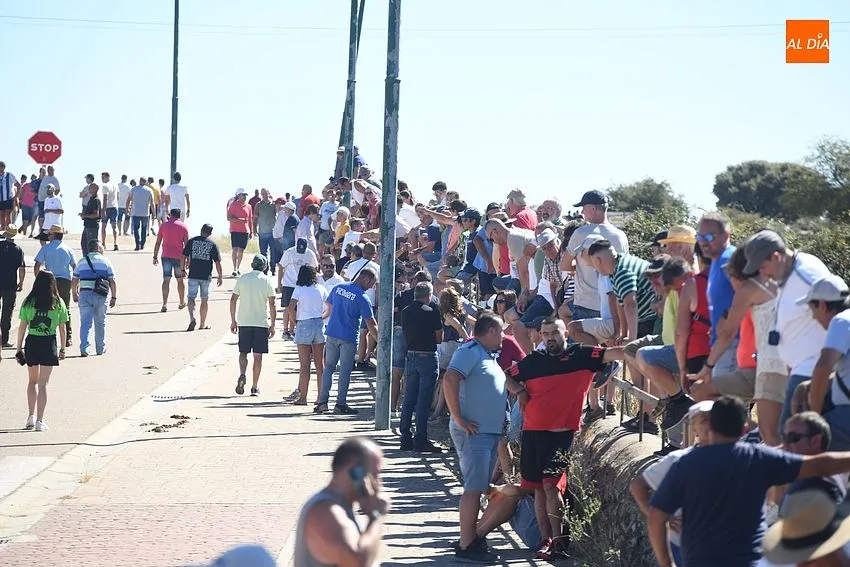 Foto 5 - El concurrido segundo encierro de Fuenteguinaldo entra con retraso y un poco m&aacute;s roto 