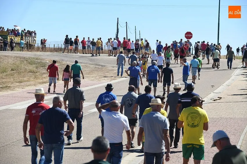 Foto 10 - El concurrido segundo encierro de Fuenteguinaldo entra con retraso y un poco m&aacute;s roto 
