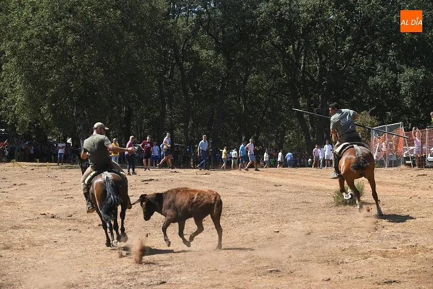 encierro a caballo villasrrubias