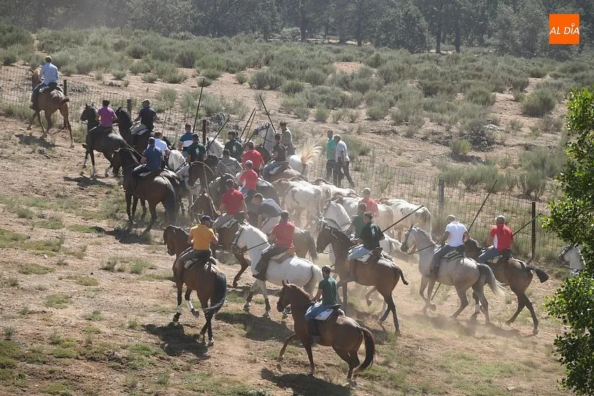 encierro a caballo villasrrubias