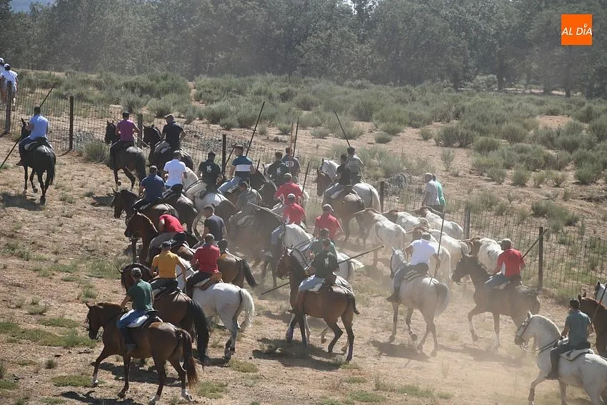 encierro a caballo villasrrubias