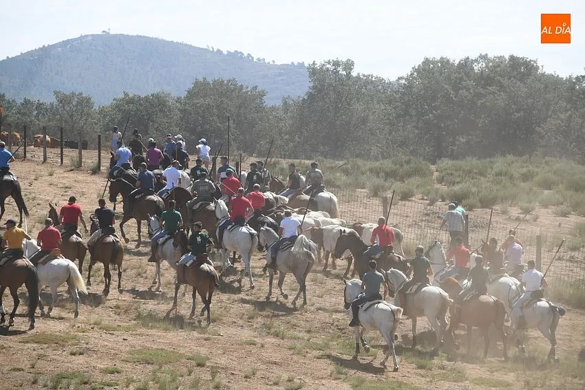 encierro a caballo villasrrubias
