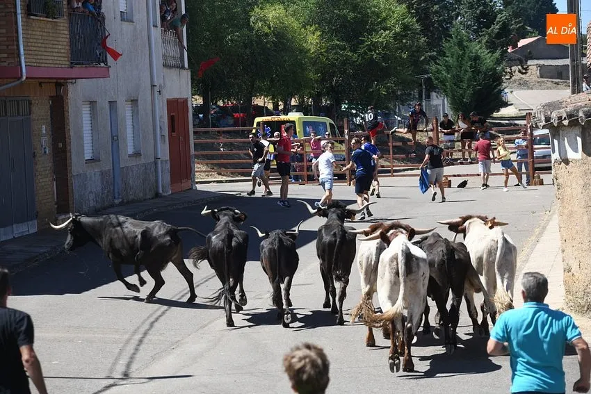fiestas san lorenzo el bodon